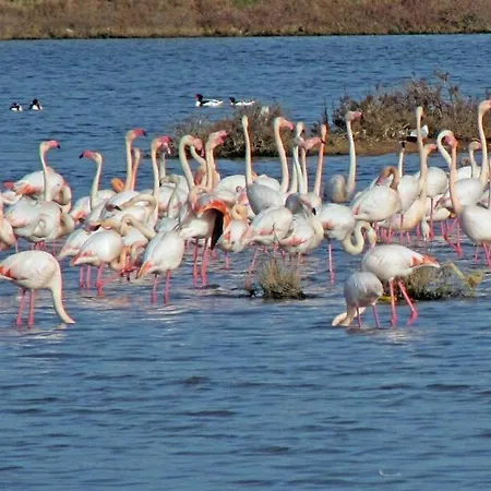 Apartman Souvenirs D'hier *